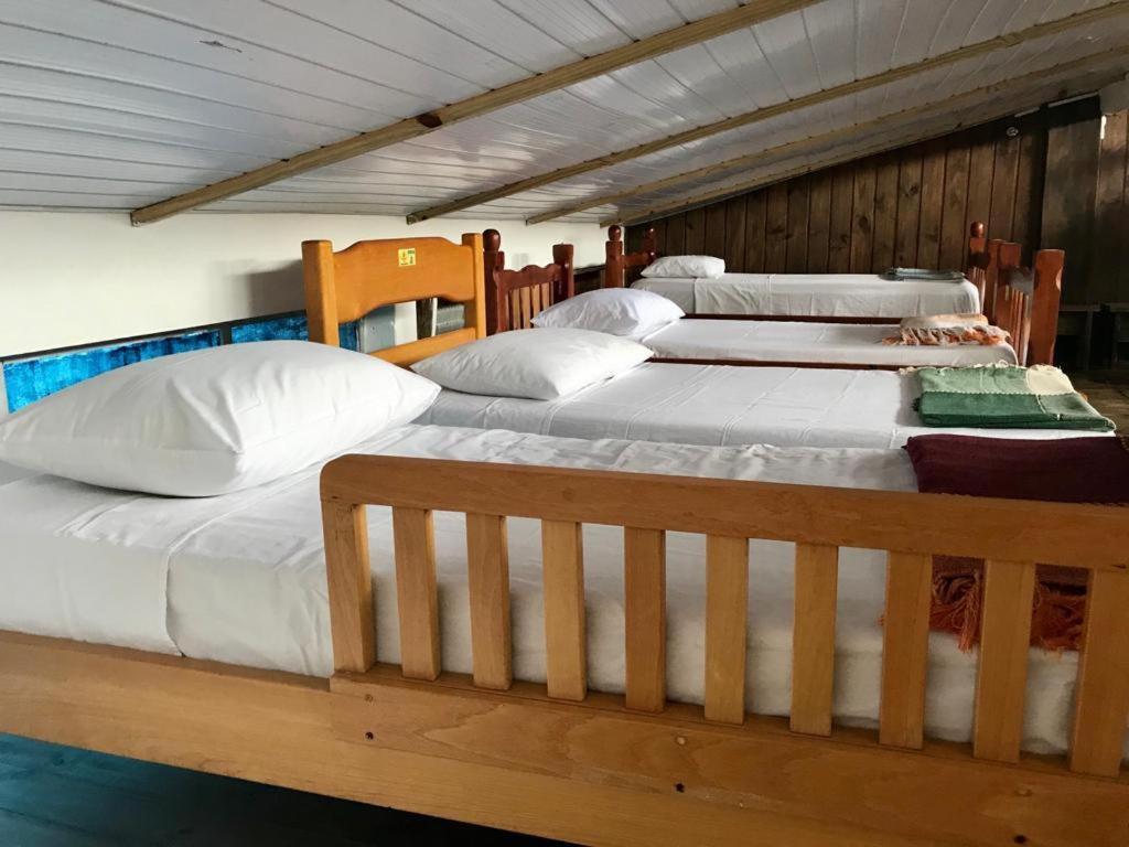Hostel Banana House Bombinhas Extérieur photo